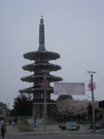 Cherry Blossom Festival in Japan Town April 2007